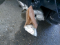 BMW (1) X3 xDrive20d XLINE AUTOM 190CV - Accidentado 14/36